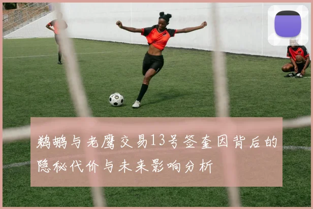 鹈鹕与老鹰交易13号签奎因背后的隐秘代价与未来影响分析